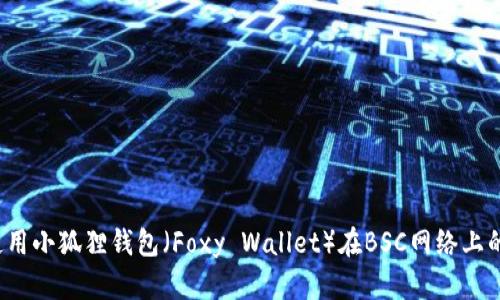 2023年使用小狐狸钱包（Foxy Wallet）在BSC网络上的全面指南