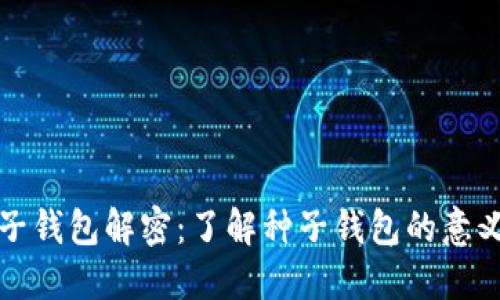 区块链种子钱包解密：了解种子钱包的意义与重要性