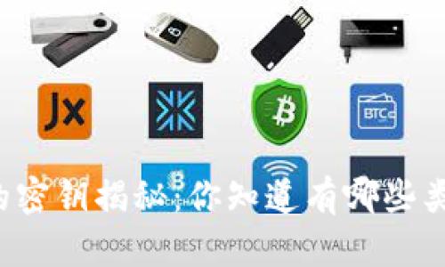 比特币钱包的密钥揭秘：你知道有哪些类型的密钥吗？