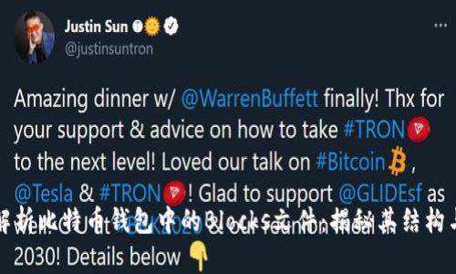 完整解析比特币钱包中的Blocks文件：揭秘其结构与功能