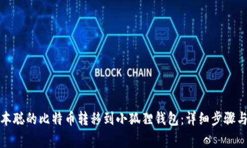 如何将中本聪的比特币转移到小狐狸钱包：详细步骤与注意事项