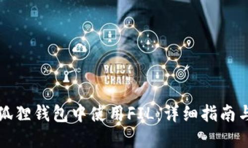 如何在小狐狸钱包中使用FIL：详细指南与实用技巧