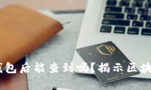 USDT转账到钱包后能查到吗？揭示区块链背后的真相