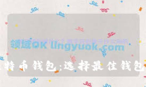 深入了解比特币钱包：选择最佳钱包的完整指南