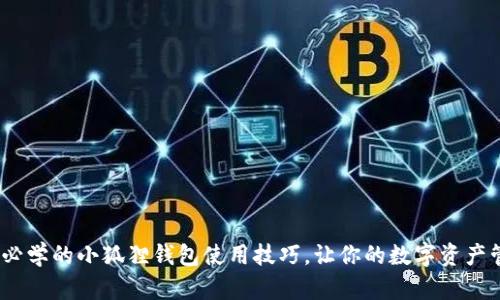 10个新手必学的小狐狸钱包使用技巧，让你的数字资产管理更轻松