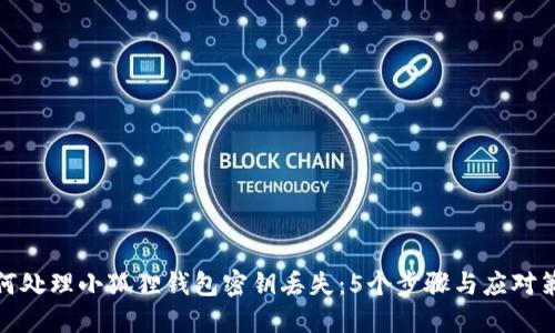 如何处理小狐狸钱包密钥丢失：5个步骤与应对策略