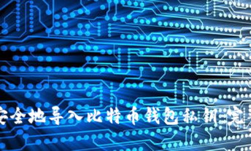 如何安全地导入比特币钱包私钥：完整指南