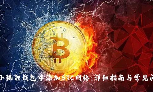 如何在小狐狸钱包中添加BTC网络：详细指南与常见问题解答