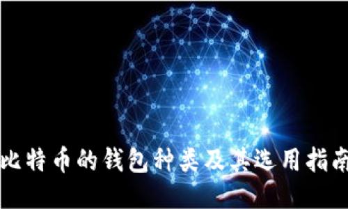 比特币的钱包种类及其选用指南