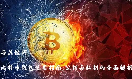 与关键词

比特币钱包使用指南：公钥与私钥的全面解析
