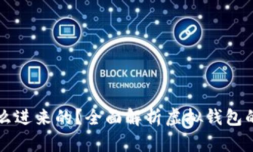 虚拟钱包的币怎么进来的？全面解析虚拟钱包的资金来源与管理