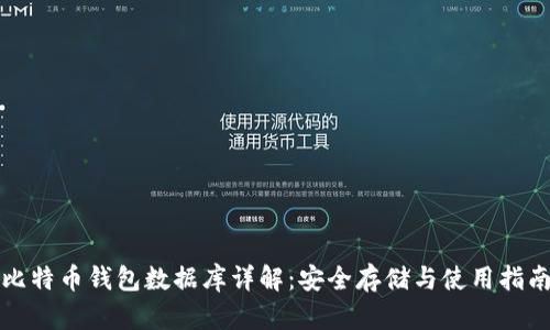 比特币钱包数据库详解：安全存储与使用指南