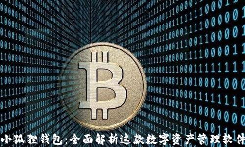 
小狐狸钱包：全面解析这款数字资产管理软件