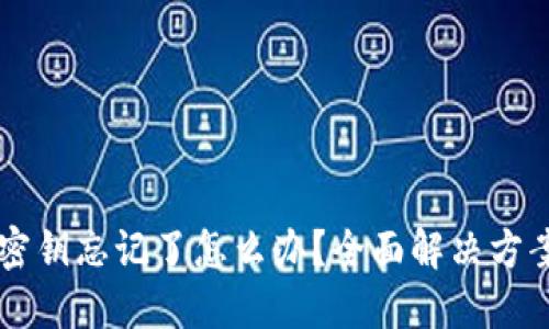 以太坊钱包密钥忘记了怎么办？全面解决方案与操作指南