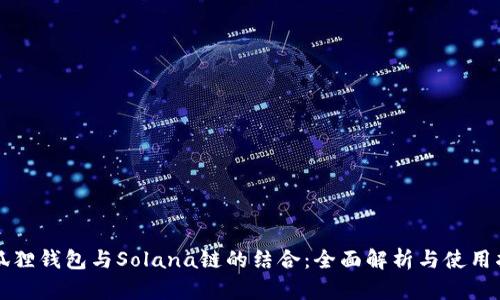 小狐狸钱包与Solana链的结合：全面解析与使用指南