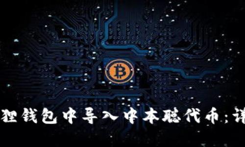 如何在小狐狸钱包中导入中本聪代币：详细操作指南