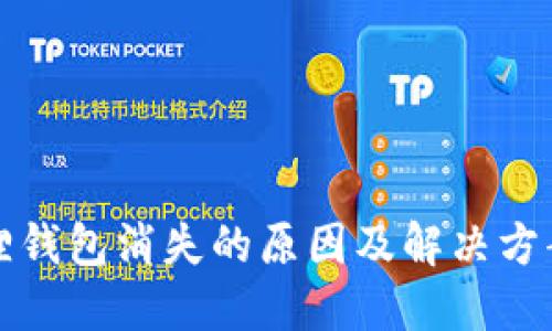 小狐狸钱包消失的原因及解决方案详解