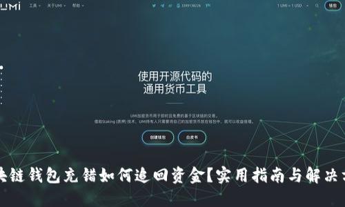 区块链钱包充错如何追回资金？实用指南与解决方案