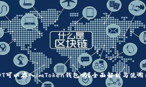 USDT可以存入imToken钱包吗？全面解析与使用指南