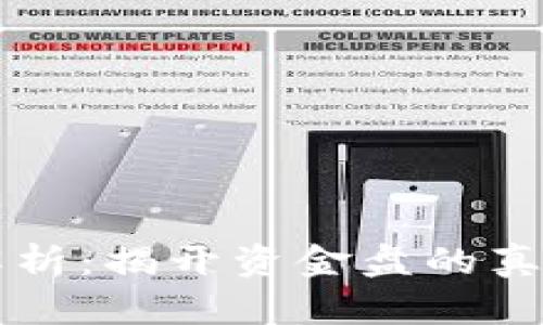 区块链钱包解析：揭开资金盘的真相与防护指南