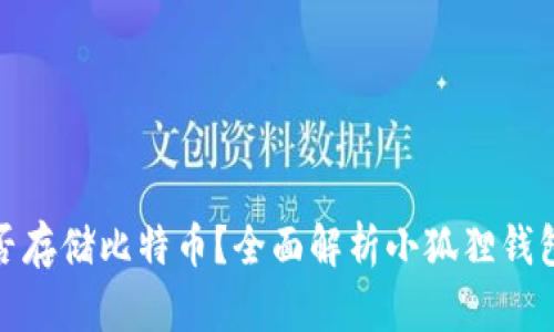 小狐狸钱包能否存储比特币？全面解析小狐狸钱包的功能与特性