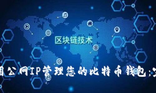 如何使用公网IP管理您的比特币钱包：完整指南