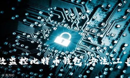 如何有效监控比特币钱包：方法、工具与策略