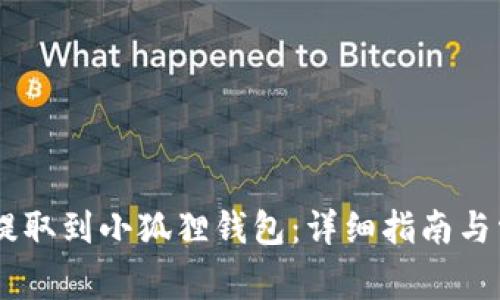 如何将USDT提取到小狐狸钱包：详细指南与常见问题解答