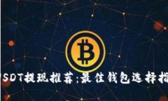  USDT提现推荐：最佳钱包选