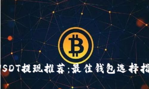  USDT提现推荐：最佳钱包选择指南