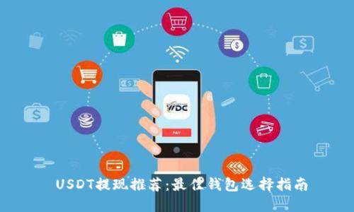  USDT提现推荐：最佳钱包选择指南