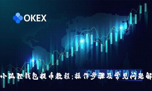 : 小狐狸钱包提币教程：操作步骤及常见问题解析