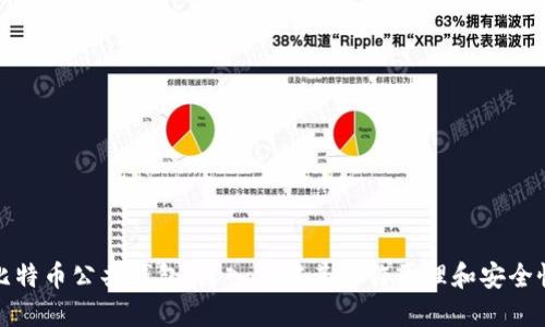 比特币公共钱包：深入了解其工作原理和安全性