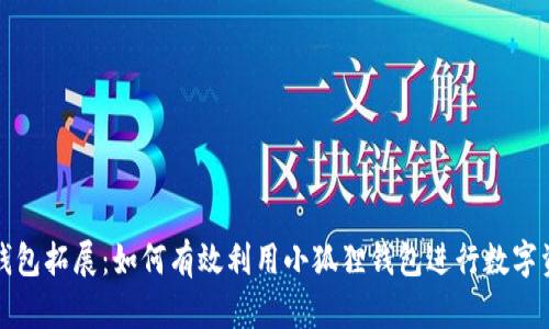 小狐狸钱包拓展：如何有效利用小狐狸钱包进行数字资产管理