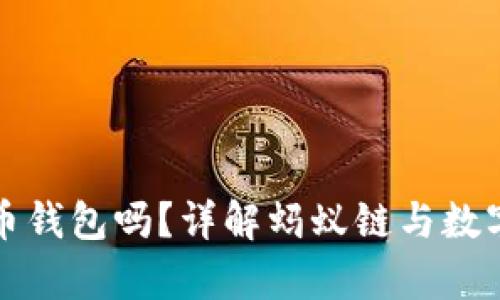 蚂蚁有比特币钱包吗？详解蚂蚁链与数字资产的关联