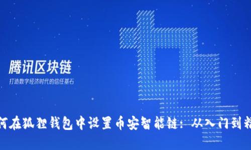 如何在狐狸钱包中设置币安智能链: 从入门到精通