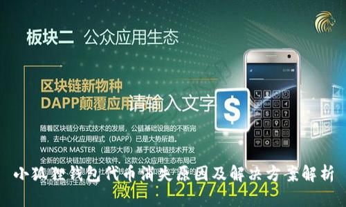 小狐狸钱包代币消失原因及解决方案解析