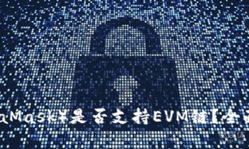 小狐狸钱包（MetaMask）是否支持EVM链？全面解析与使用指南