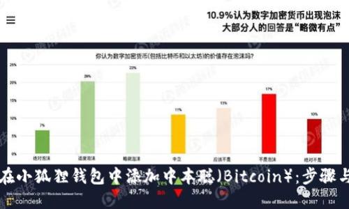 如何在小狐狸钱包中添加中本聪（Bitcoin）：步骤与指南