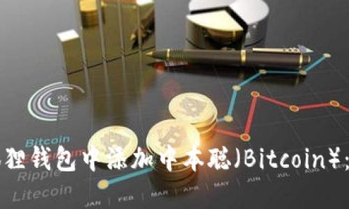 如何在小狐狸钱包中添加中本聪（Bitcoin）：步骤与指南