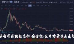 全面解析区块链虚拟：安全性、使用场景及未来