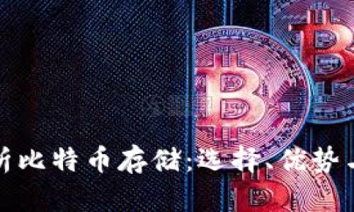 全面解析比特币存储：选择、优势与安全性