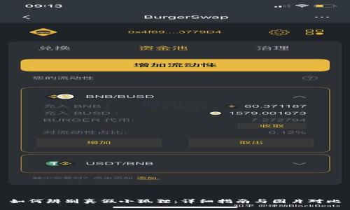 如何辨别真假小狐狸：详细指南与图片对比